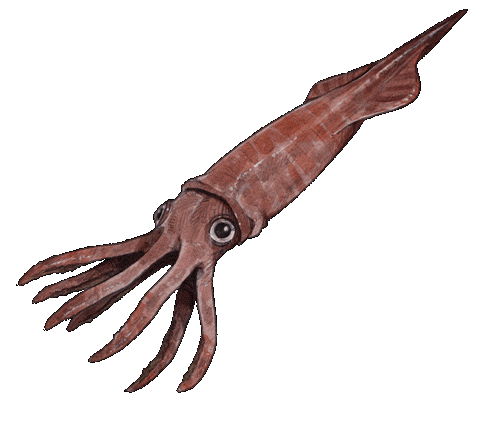 Sticker Monster Sticker by bildundtonfabrik