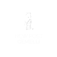 gemelli_gelato illustration star animal newpost Sticker