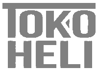 Drone Heli Sticker by tokoheli