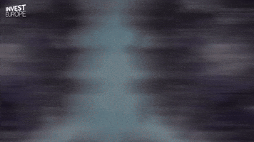 Venture Capital: Fuelling European Innovation (202