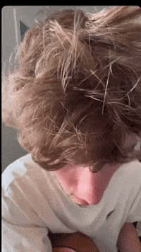 What GIF
