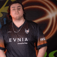 League Of Legends Lol GIF by TeamOrangeGaming