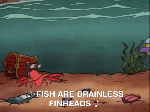 rockos modern life nicksplat GIF