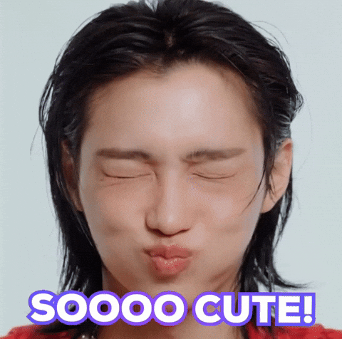 Stray Kids Skz GIF