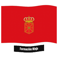 Flag Spain Sticker by Formación Ninja