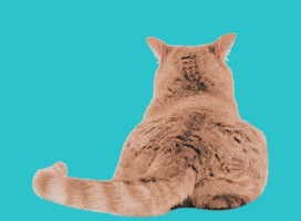 naughty GIF