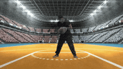 AdamBrownNL music sport dj basket GIF