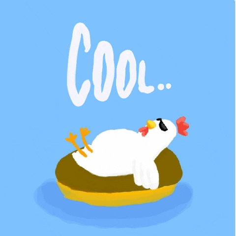 Digital art gif. A chicken with cool sunglasses lounges on an inner tube in water. Text, “Cool…”