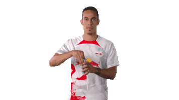 Red Bull Football Sticker by RB Leipzig