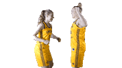 Eurobasket Women Boxing Sticker by Sweden Basketball