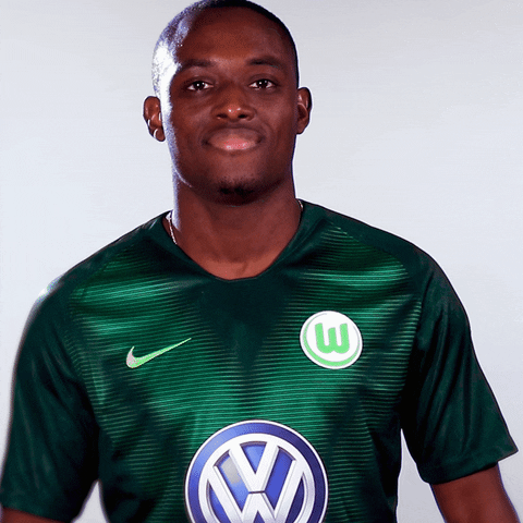 france love GIF by VfL Wolfsburg