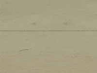 Outta My Head GIF by State Champs