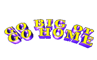 go big or go home text Sticker