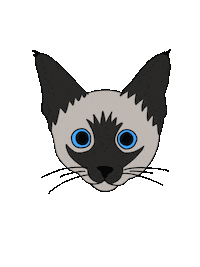 Cat Weirdcat Sticker by Jasi