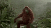 Oh Yeah Dancing GIF by Jennifer Accomando