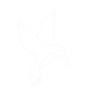TheBabylonbusVanlifeEurope bird thebabylonbus vogeltje Sticker