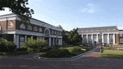 virginia GIF