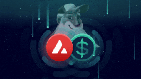 iconfoundation giphygifmaker avalanche avax balanced GIF
