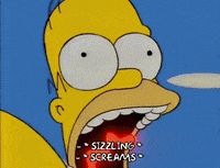 homer simpson dolph starbeam GIF