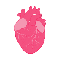 JesFortner_Illustration heart illustration pink sticker Sticker