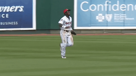 Baseball Cartwheel GIF by Lansing Lugnuts