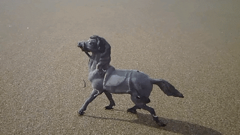 Simongip giphygifmaker GIF