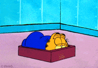 cat no GIF by Garfield