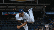 Los Angeles Dodgers Sport GIF by MLB