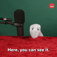 Merry Christmas GIF by BuzzFeed