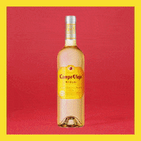 GIF by Campo Viejo UK