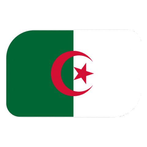 World Cup Football Sticker