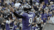 Happy National Football League GIF by Baltimore Ravens