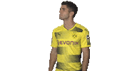Borussia Dortmund Reaction Sticker by Bundesliga
