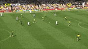 nss-sports mount nss sports GIF