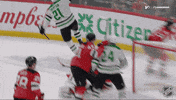 Happy Dallas Stars GIF by NHL
