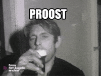 Cheers Bier GIF by Fries Film & Audio Archief