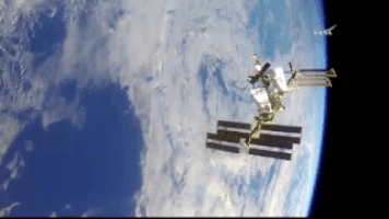 space astronaut GIF by NASA