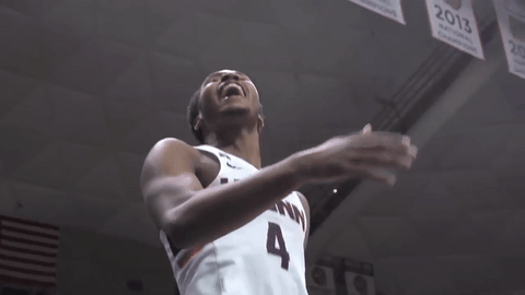 basketball uconn GIF