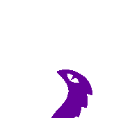 Iguana Galapagos Sticker by Mundo Galápagos