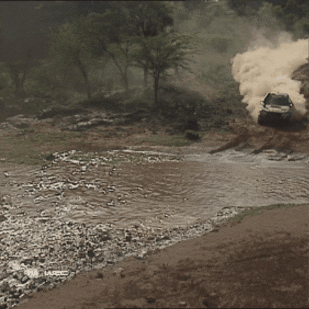 Get Through River Crossing GIF by FIA World Rally Championship