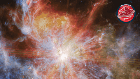 James Webb Stars GIF by ESA Webb Space Telescope
