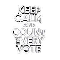 Voting Election 2020 Sticker by INTO ACTION