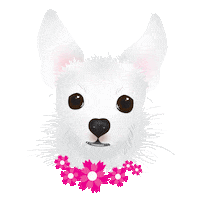 GreenDogGraphicDesign greendoggraphicdesign custompetportrait littlewhitedog sophieblackwell Sticker