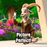 Picture Perfect Photography GIF by Radiantelope
