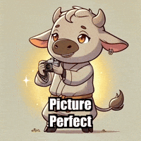 Picture Perfect Photography GIF by Masterfurdinand