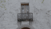 patreon merry christmas patreon stavros halkias chrismafia GIF