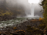 Glossar Buergschaft GIF by FranchiseONE.de