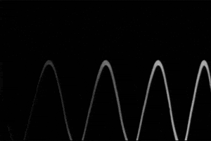 GIF by hoppip