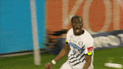 Celebration Yes GIF by SK Sturm Graz