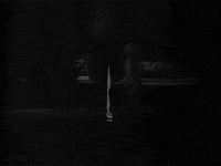 bela lugosi art GIF by hoppip